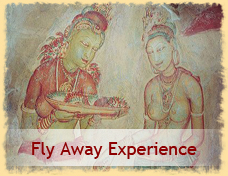 Fly Away Experience