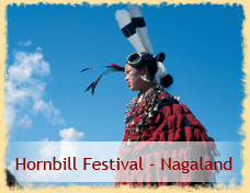 Hornbill Festival - Nagaland