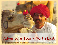 Adventure Tour