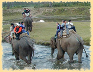 Chitwan