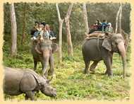 Chitwan