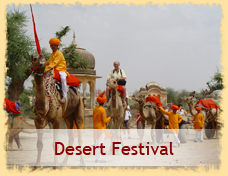 Desert Festival