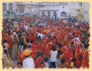 Festival
