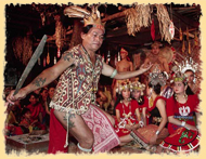 Hornbill Festival