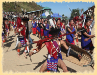 Hornbill Festival