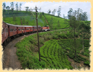 horton plains