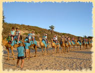 Incentive Tour