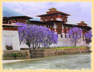 Punakha