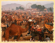 Pushkar Fair