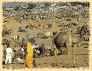 Pushkar Fair