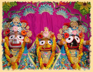 Rath Yatra